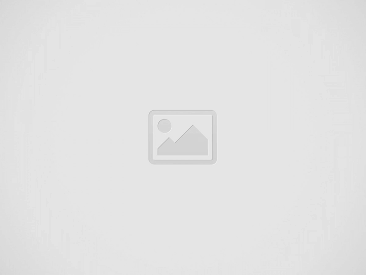 شركات نقل اثاث بحدائق الاهرام